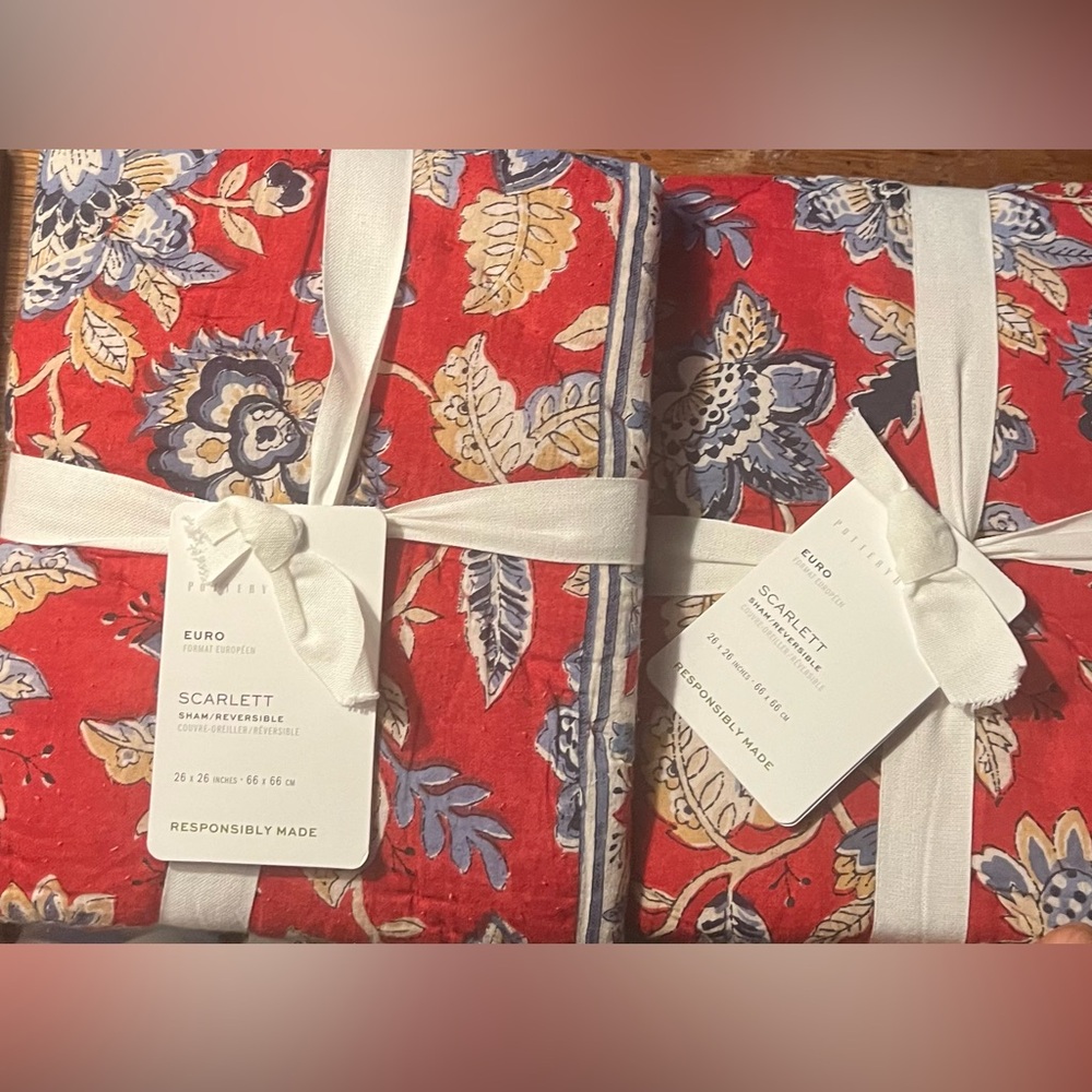 Set of 2 Pottery Barn Scarlett Handcrafted Reversible Euro Shams New